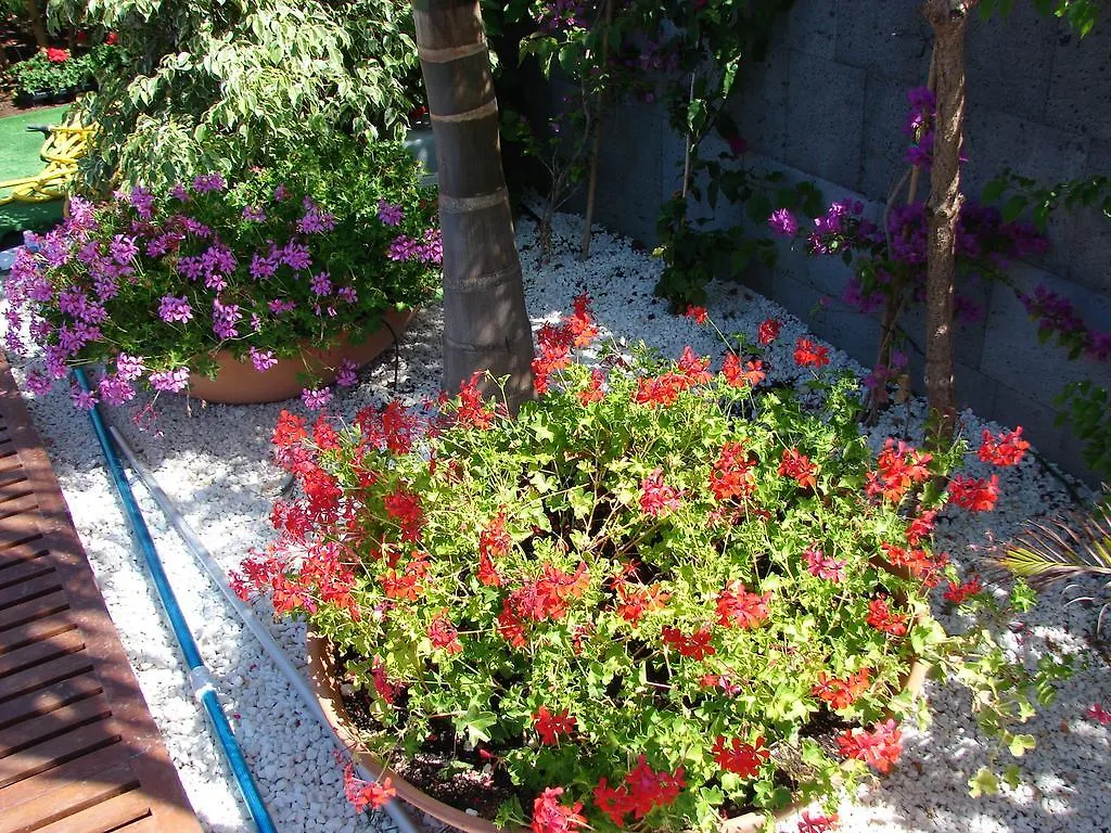 Hotel Costa Mar Los Cristianos Arona  Španělsko